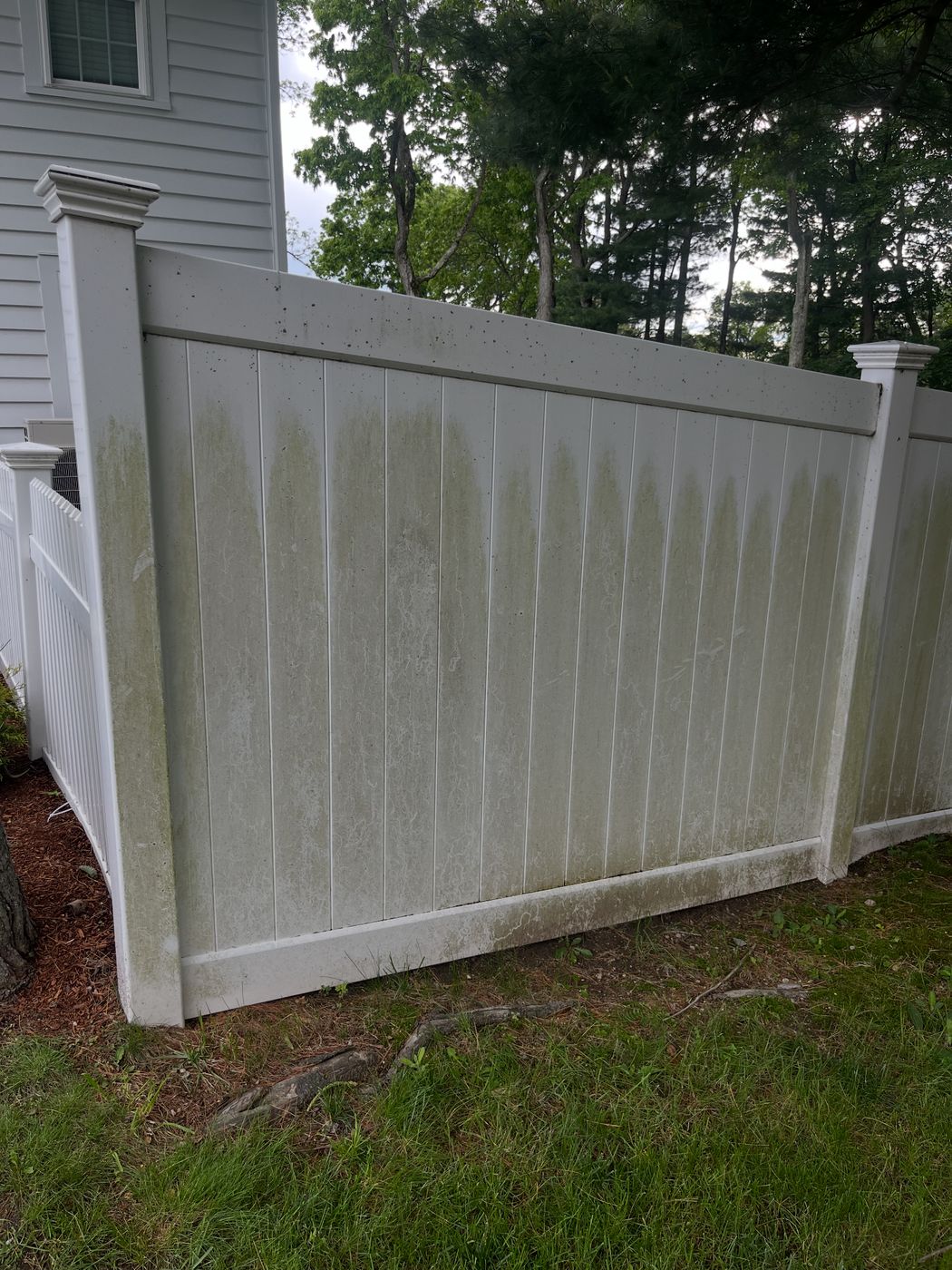 Fence before washing