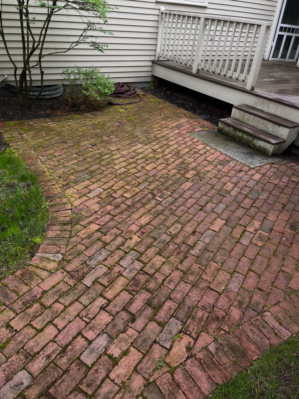 Brick patio before washing and re-sanding