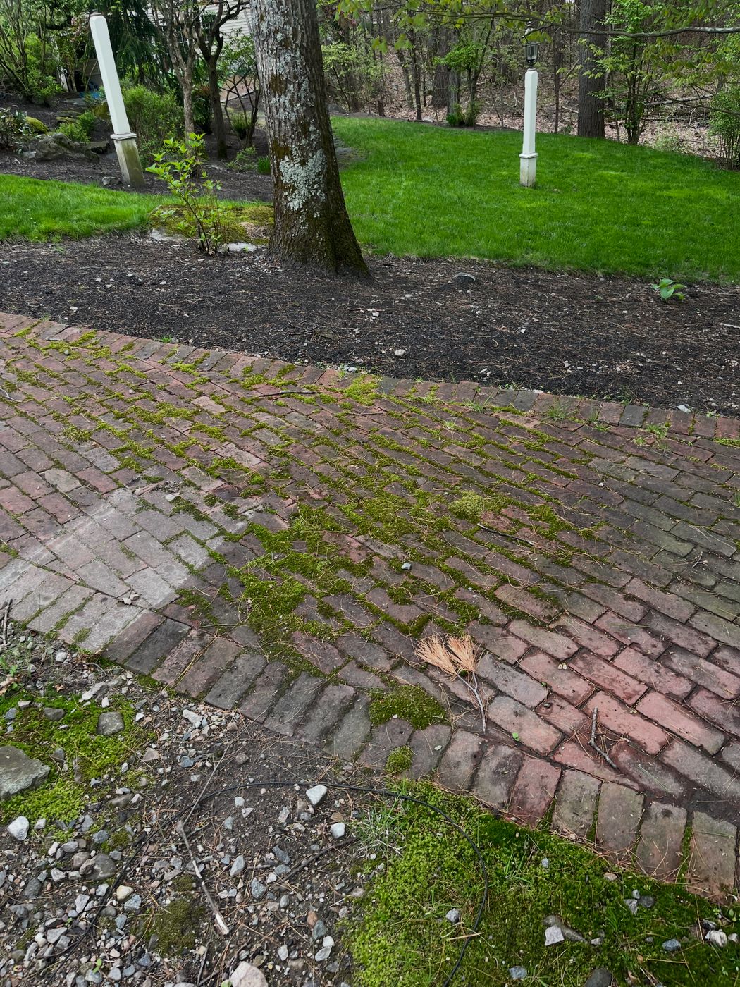 Brick walkway before